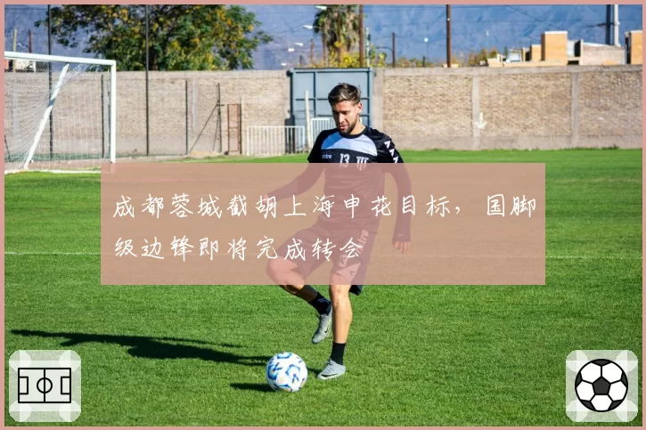 成都蓉城截胡上海申花目标，国脚级边锋即将完成转会