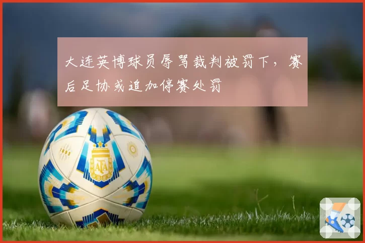 大连英博球员辱骂裁判被罚下,赛后足协或追加停赛处罚