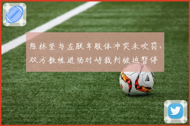 陈林坚与左朕年肢体冲突未吹罚，双方教练进场对峙裁判被迫暂停